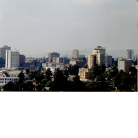 Addis Central #1