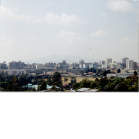 Addis Central #19