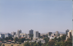 Addis Central #4a